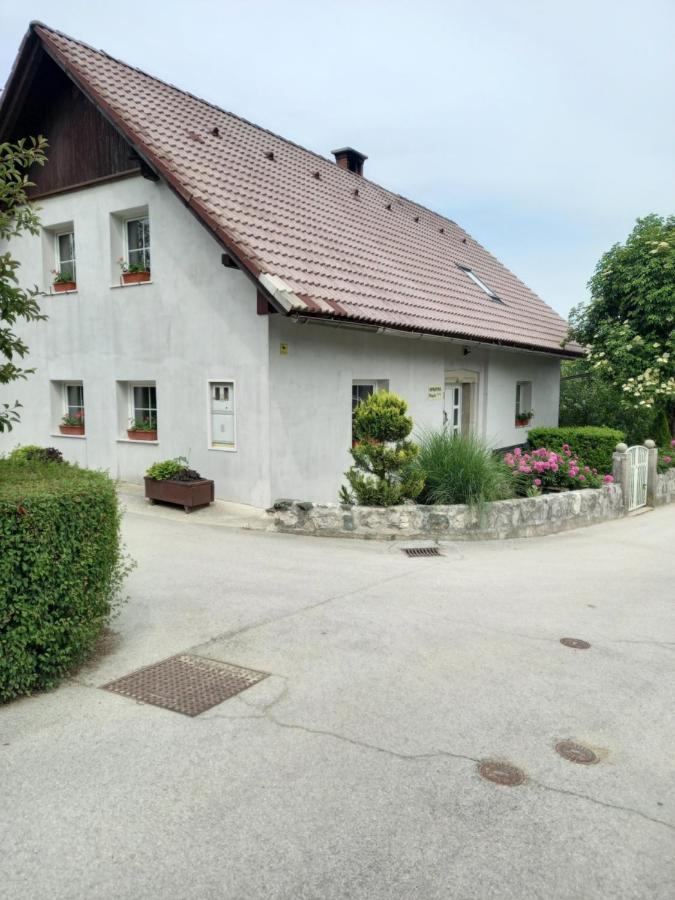 Apartmaji Magda Apartment Zgornje Gorje Exterior photo